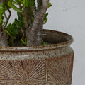 V3406 Large Earthgender Planter Two Enlighten 2d.jpg