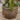 V3406 Large Earthgender Planter Two Enlighten 5.jpg