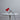 Two Enlighten - June 13th 2023 - 174.jpg