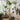 3981142_Eames Elephant PLywood grey_v_fullbleed_1440x.jpg