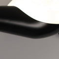 conchedetail.jpg