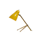 Giuseppe Ostuni Ochetta Two Enlighten - 014.jpg