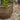 V3406 Large Earthgender Planter Two Enlighten 4.jpg