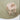 NM_quill_M_macro.jpg