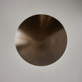 M3420 Two Enlighten Rey 14 Patinated Brass Ceiling Lamp 10.jpg