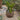 V3406 Large Earthgender Planter Two Enlighten 6.jpg