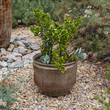 V3406 Large Earthgender Planter Two Enlighten 6.jpg
