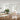 3346589_Eames Plastic Chair DSR Eames Plastic LAR Plate Dining Table Soft Modular Sofa Cor