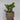 V3406 Large Earthgender Planter Two Enlighten 2.jpg