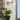 chrome-CoppaApertaApplique_0921_ambient03.jpg