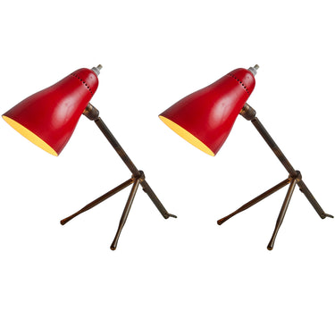 Ochetta-Pair.jpg