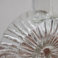 Helena Tynell Vase Two Enlighten 6.jpg