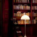 LP-Palacio-Belmonte-76-06553.jpg