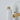 Two Enlighten - Dec 1st 2022 - 126.jpg