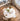 1845768_Aalto Table 90A, Chair 66, Bench 153A, Pendant Light A330s Golden Bell, Cushion Ze