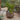 V3406 Large Earthgender Planter Two Enlighten 8.jpg