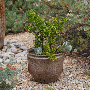 V3406 Large Earthgender Planter Two Enlighten 8.jpg
