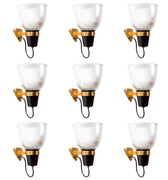 lp5 cover.jpg