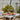 V3422 Vintage 1966 Richard Schultz Outdoor Dining Table for Knoll Two Enlighten 3.jpg