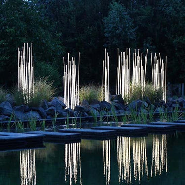 reeds_outdoor_gallery4842550_1920x1080_master.jpeg