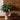 Wooden wall art with a sunburst pattern in a room with a plant and decorative pillows.