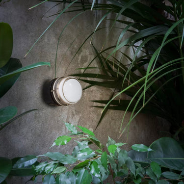 fresnel outdoor indoor light by oluce against a cement all with plants