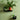 black wall shelves on a green wall 