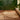 Green tiled wall with a textured rug on a terracotta floor