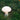 Mushroom-shaped lamp in a grassy field with flowers