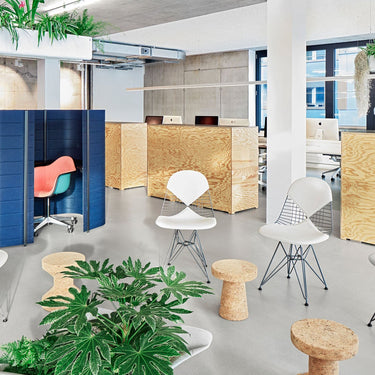 Modern office space with blue modular partitions, white chairs, and green plants.