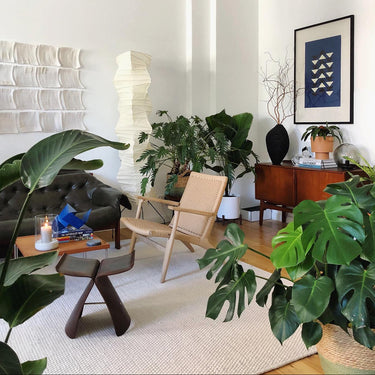 Modern living room with plants, furniture, and decorative items.